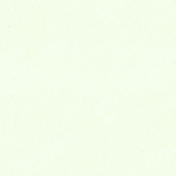 Вельвет Кремовый 85524