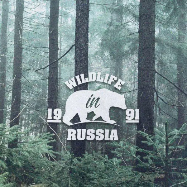 Постельное бельё «Этель» 1.5 сп Wildlife 143*215 см, 150*214 см, 70*70 см - 2 шт