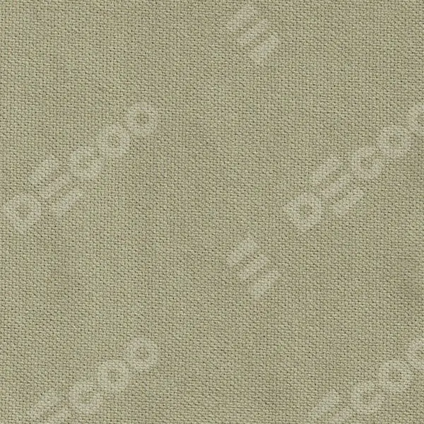 Канвас Латте v-12490